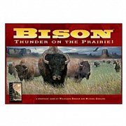Bison