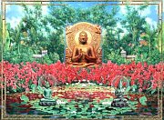 Buddha S Lotus