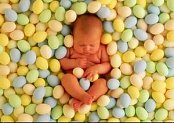 Dítě ve vejcích