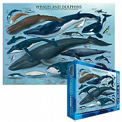 Veľryby A Delfíny