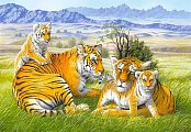 Tygří rodinka
